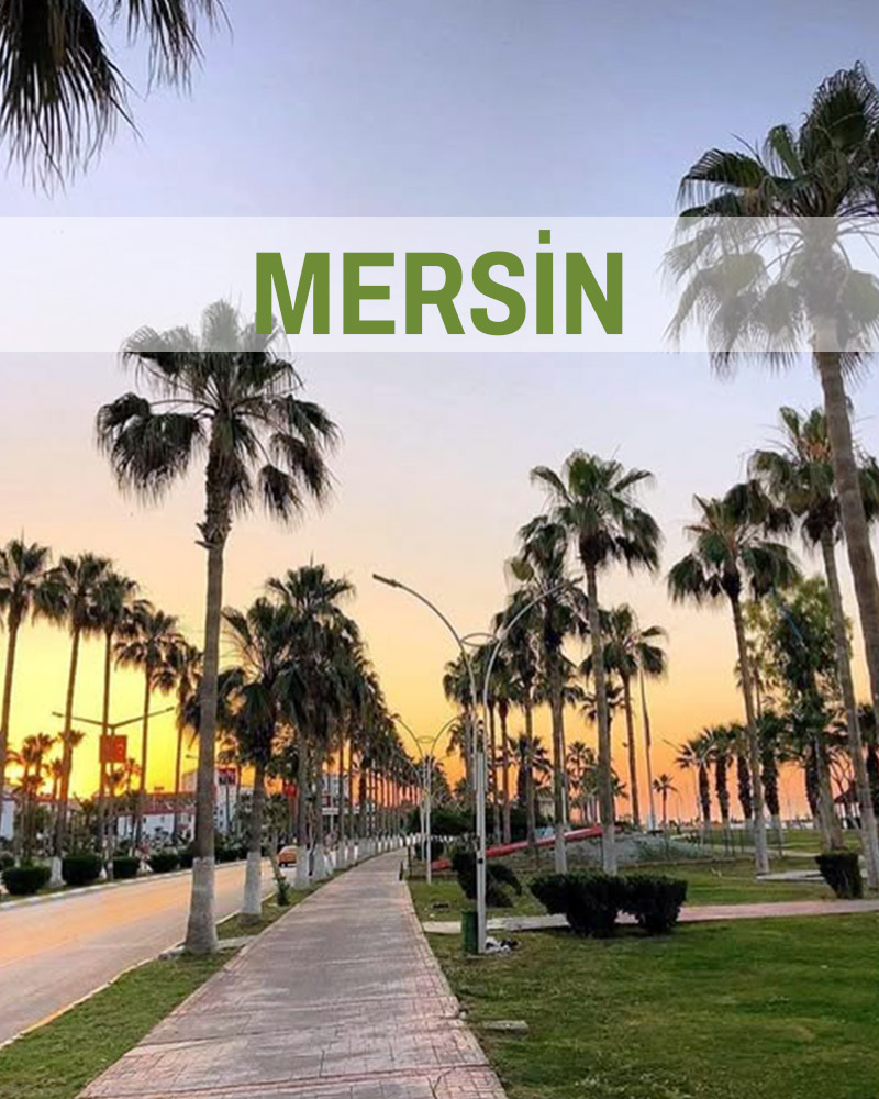 Mersin